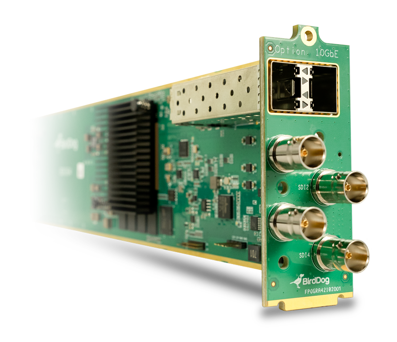 Power Up Your Workflow with the BirdDog OG4: The First NDI® openGear Card